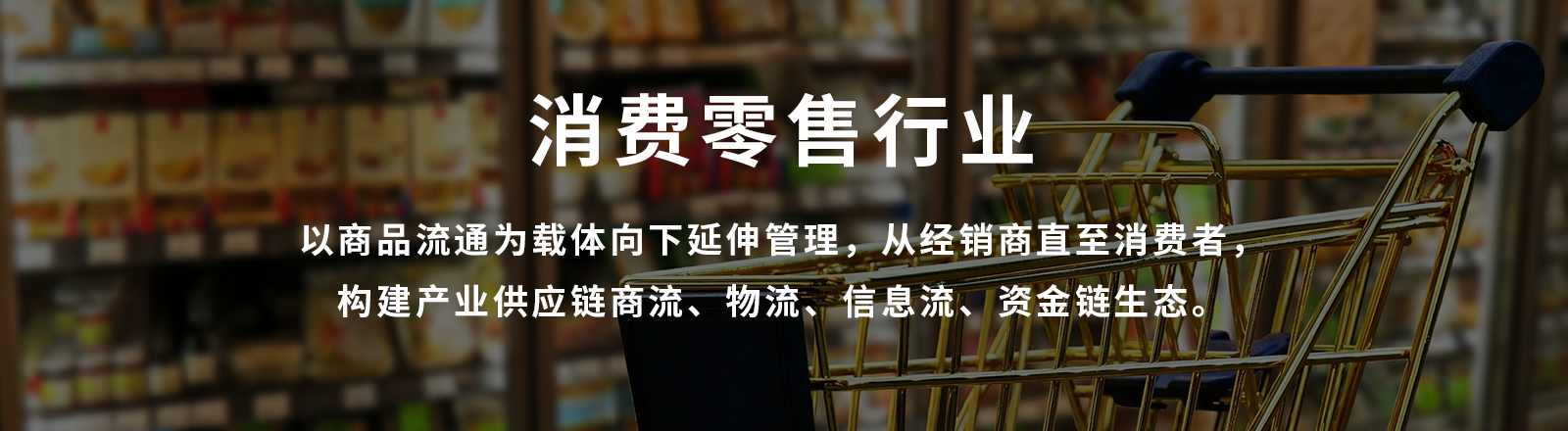 消费零售行业
