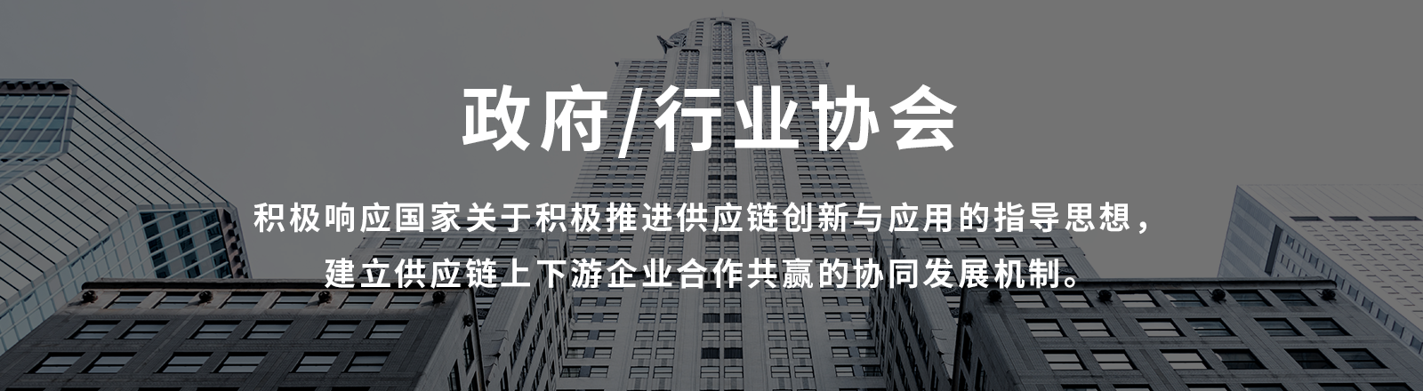 政府/行业协会